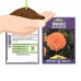 African Marigold Flower Garden Seeds - Cracker Jack Mix - 1 Lb - Annual Flower Gardening Seeds - Tagetes erecta - Crackerjack   566984008